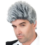 Eric Short Grey Wig Pk 1