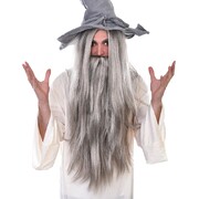 Wizard Long Grey Wig and Beard Pk 1 (Wig & Beard Only)