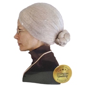 Wig Granny Grey Pk1 