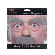 Grey Facial Hair Set | Self-Adhesive Eyebrows & Moustache | 14+