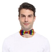 Rainbow Satin Bow Tie