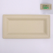 Sugar Cane Eco Plates/Trays 13 x 26cm (Pk 10)