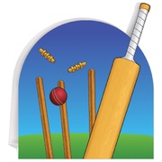 Cricket 3D Table Centrepiece 24cm
