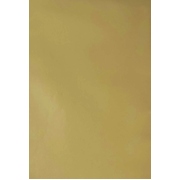 Gold Gift Wrap 700mm x 495mm (Pk 1)