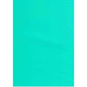 Teal Green Gift Wrap 700mm x 495mm Pk1 Art