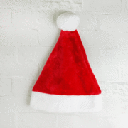 Christmas Deluxe Plush Santa Hat Pk 1