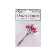 Christmas Mini Pomegranate Pick Decoration Pk 10