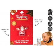 Magic Growing Santa Christmas Party Favour