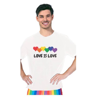 Adult Rainbow Love Is Love Pride T Shirt One Size