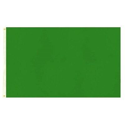 Green Flag 90x150cm 3x5ft with Eyelets | Sports Supporter Costume Flag