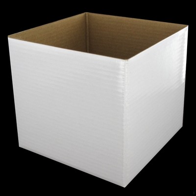 Mini Box 13cm x 11cm White Pk1 