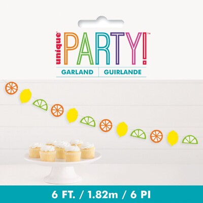 Citrus Fruit Paper Cutout Garland Banner 1.82m