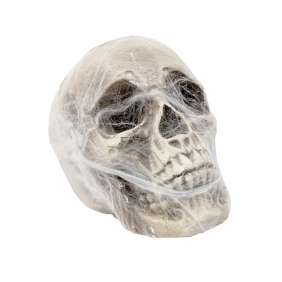 Cobweb Wrapped Skull Halloween Decoration (15x18cm)