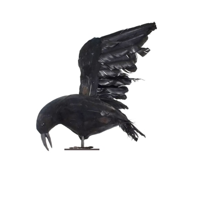 Black Bird Crow Raven Halloween Decoration