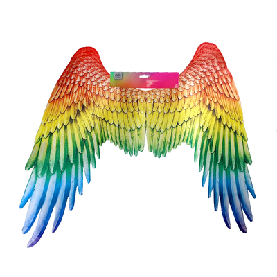 Rainbow Printed Feather Design Wings (75x105cm)