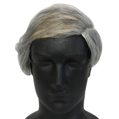 Wig Tragic Combover Grey Pk1 