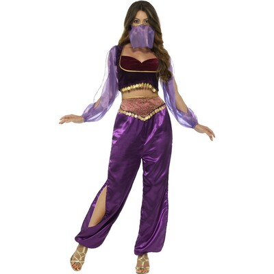 Adult Purple Arabian Princess Costume (Medium, 12-14) Pk 1