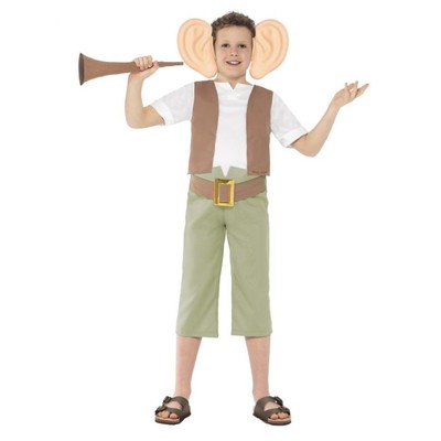 Roald Dahl BFG Child Costume (Medium, 7-9 Years) Pk 1