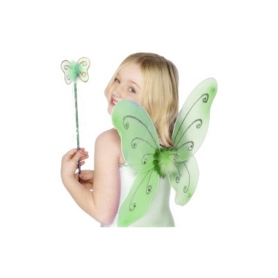 Child Green Butterfly Wings & Wand Pk 1