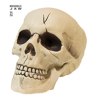PVC Skull with Moveable Jaw Halloween Decoration 21cm - Aged Look