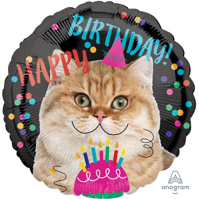 Happy Birthday Cat 17in. Foil Balloon Pk 1
