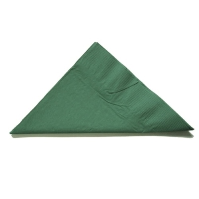 Hunter Green Party Napkins - Lunch 2 ply Pk50 