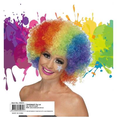 Rainbow Afro Clown Wig