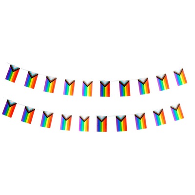 Rainbow Trans Pride Bunting 20 Flags