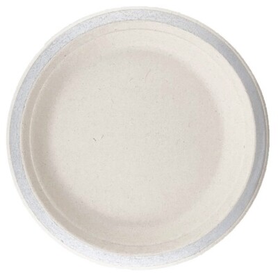Sugar Cane White Eco Plate with Silver Trim 23cm Pk 10