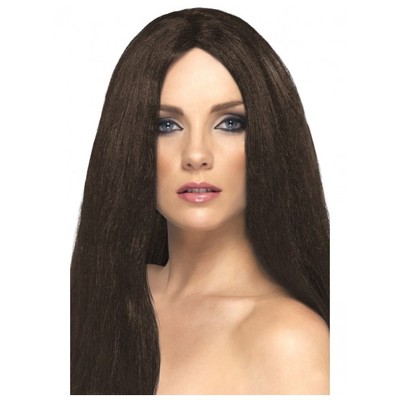 Long Brown Straight Star Style Wig Pk 1