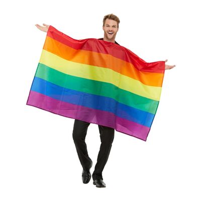 Adult Rainbow Flag Costume (One Size) Pk 1