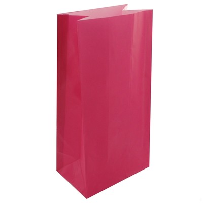 Bags Party Hot Pink Paper Pk12 