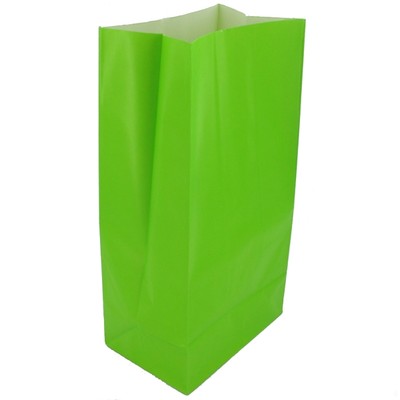 Lime Green Paper Party Bags Pk12 