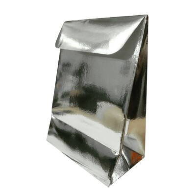 Metallic Silver Paper Party Loot Bags Pk 10