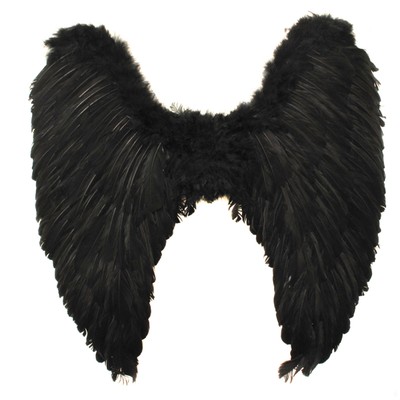 Angel Party Wings - Black With Feathers Pk1 