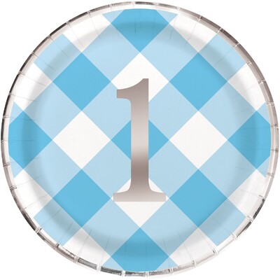 1st Birthday Blue Gingham Paper Plates 22cm Pack of 8 | First Birthday Party Plates