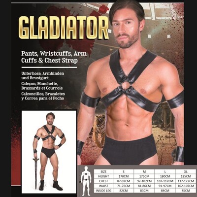 Adult Gladiator Costume (Medium, 97-102cm)