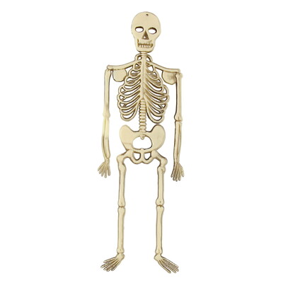 Plastic Skeleton Halloween Decoration 32cm - Flat Back Hanging Skeleton