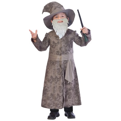 Child Kids Wise Wizard Large Costume