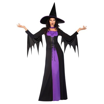 Adult Classic Witch Halloween Costume (Size 12-14)