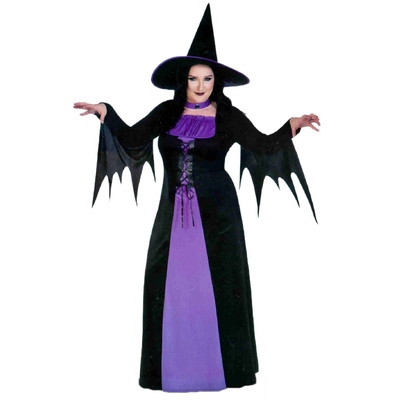 Adult Classic Witch Halloween Costume (Size 18-20)