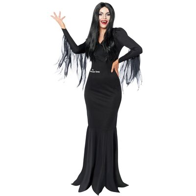 Adult Morticia Addams Family Dress & Wig Costume (8-10)