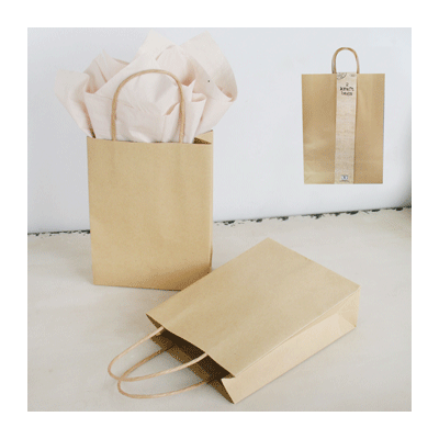 Large Kraft Brown Loot Bags with Handle (25x33cm) Pk 2