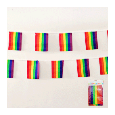 Rainbow Bunting Flag Banner (3.6m) Pk 1