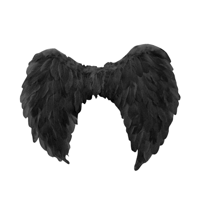 Adult Black Angel Wings (60x80cm) Pk 1