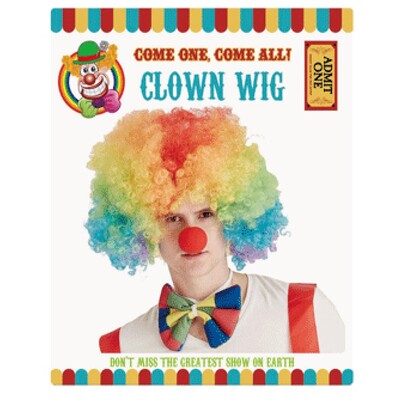 Multi Coloured Afro Clown Wig Pk 1 