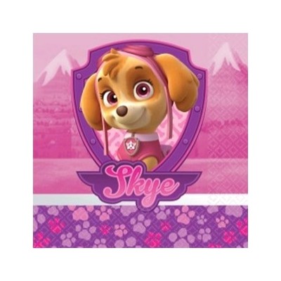 Paw Patrol Girl 2 Ply Cocktail Napkins Pk 16