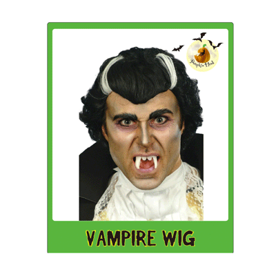 Adult Vampire Wig Pk 1 (Wig Only)