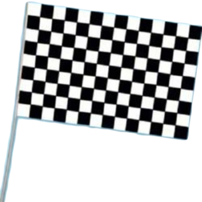 Car Racing Black & White Check Flag Waver Pk 1