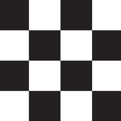 Black & White Checkered Scene Setter Backdrop (9.1x1.2m)